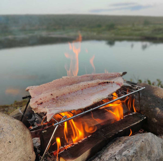 Harjusfilee paistumassa nuotiossa avotulella tyynen järven rannalla.