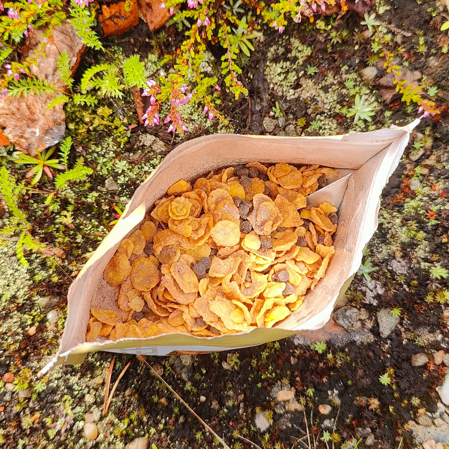 Gluteeniton suklaamysli retkiruokapussi maassa avattuna.
