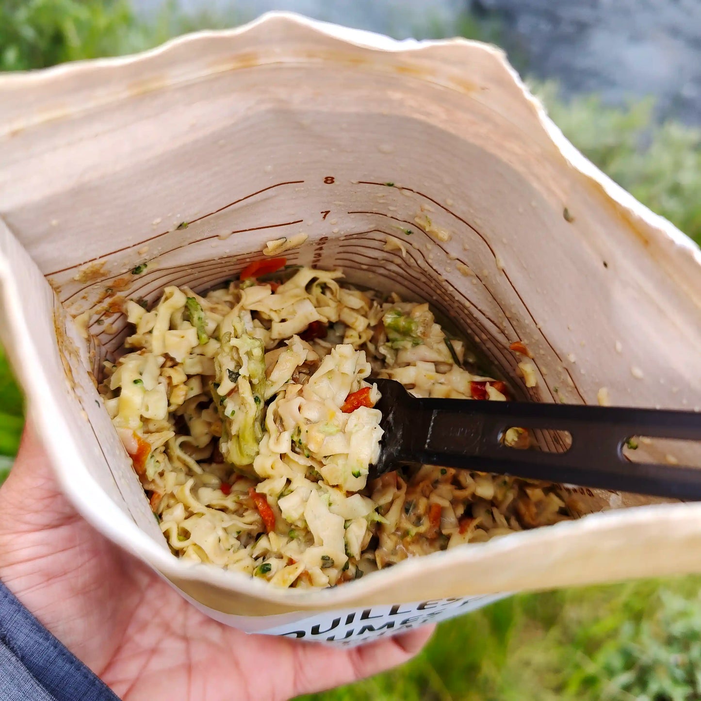 Pad Thai-nuudelit kasviksilla retkiruokaa valmiina pussissa haarukan kanssa, takana joki.