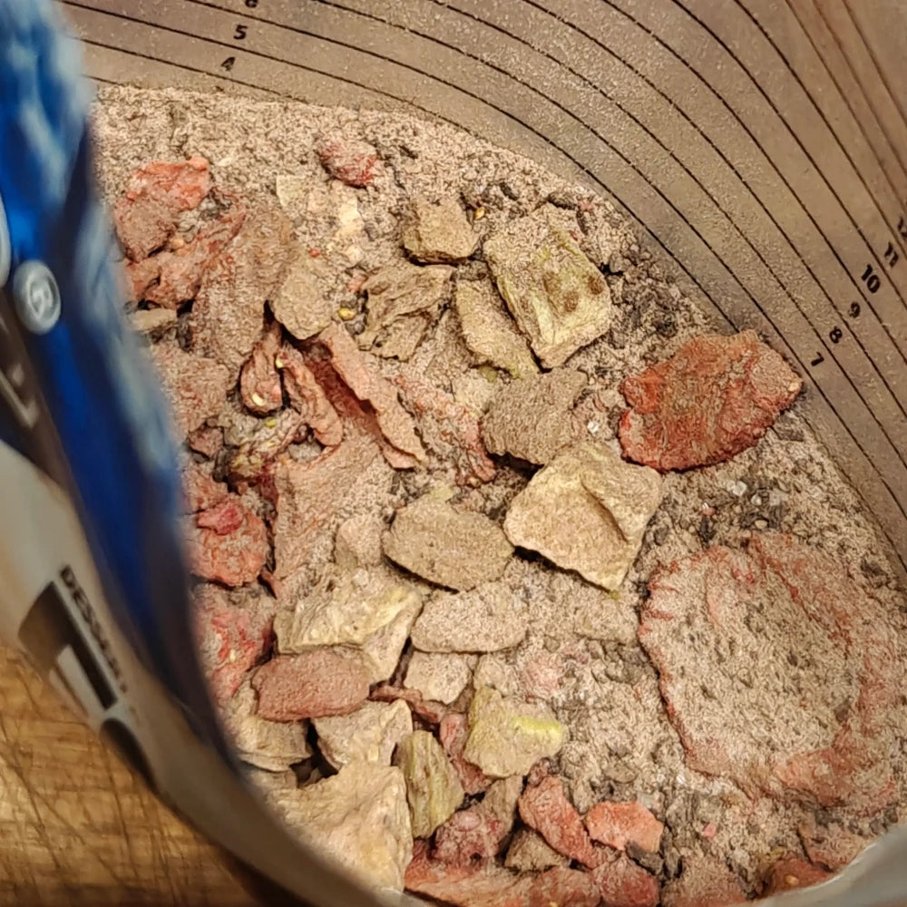 Retkiruoka suklaafondue marjoilla kuivana pussissa.