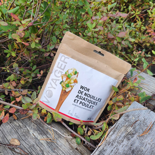 Aasialaista kanaa ja nuudeleita retkiruokapussi maassa varpujen keskellä.