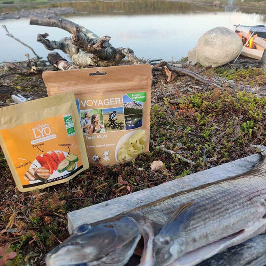 Retkiruoat juustoinen perunasose ja grillatut välimeren kasvikset tunturi joen rannalla. Edessä perattu harjus leikkuulaudalla ja takana nuotio.