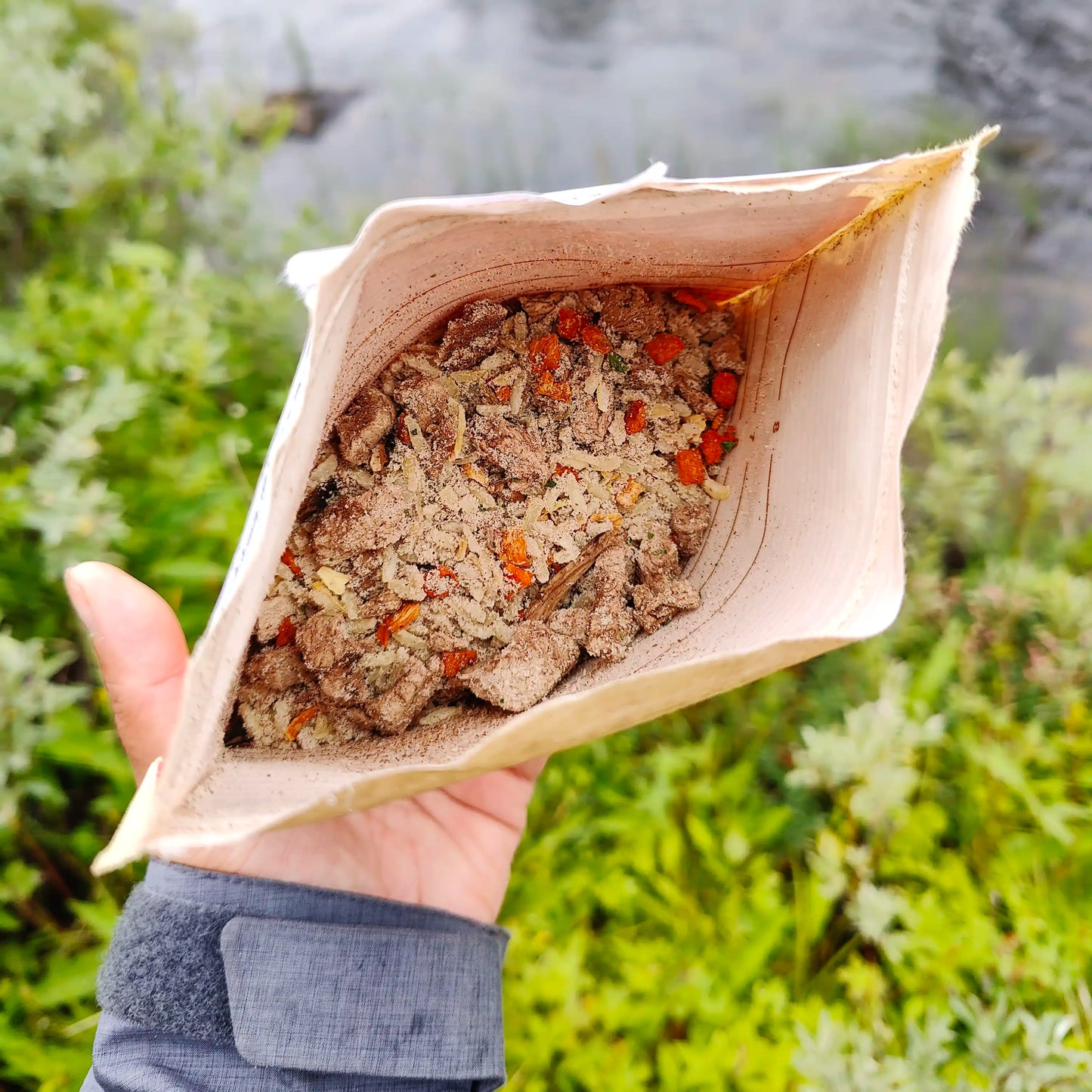 Härkäpataa riisillä ja sienillä retkiruokapussin sisältö kuivana avatussa pussissa.