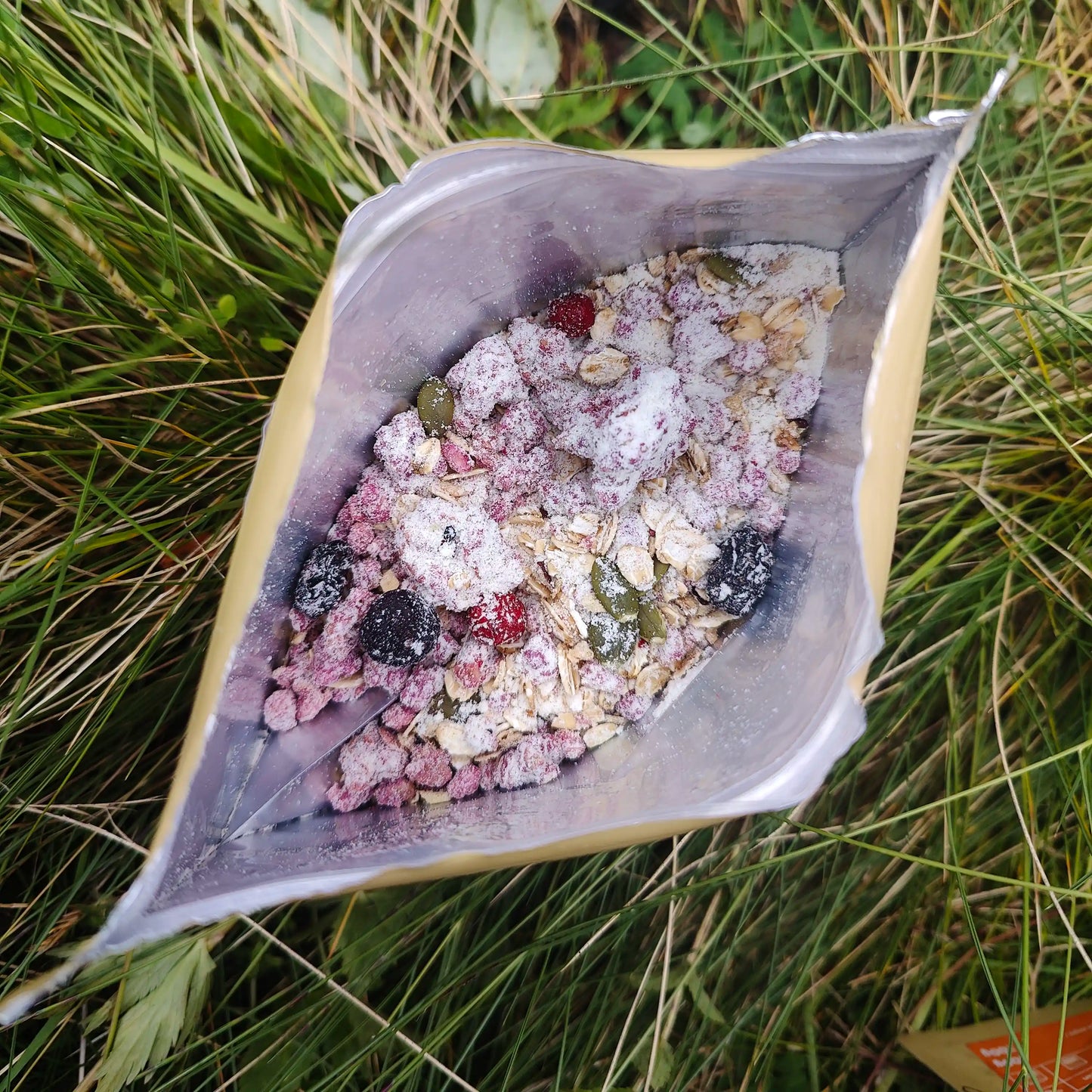 Marja-granolamysli retkiruoka-aamupala sisältö kuivana pussissa ruohikossa