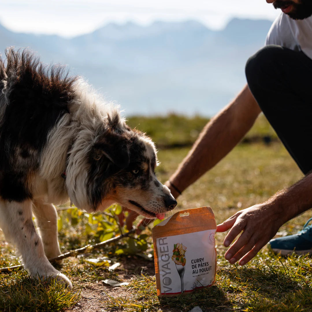 Kanacurry ja pastaa retkiruoka kierrätettävässä pussissa kyykyssä olevan miehen ja valko-ruskean koiran välissä maassa nurmikolla