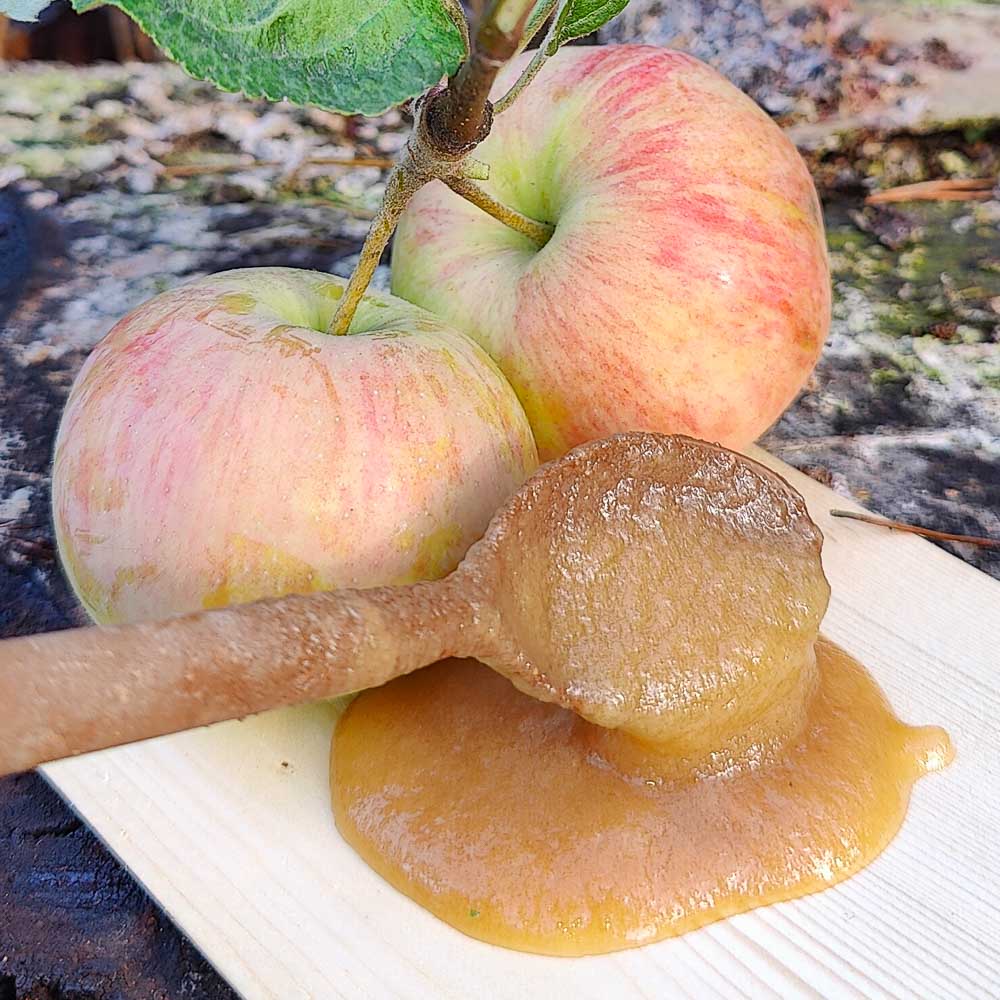 Valmista omenakompotti-retkiruokaa puualustalla lusikassa taustalla kaksi omenaa.